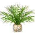 Faux Palm Plant in Gold-White Pot