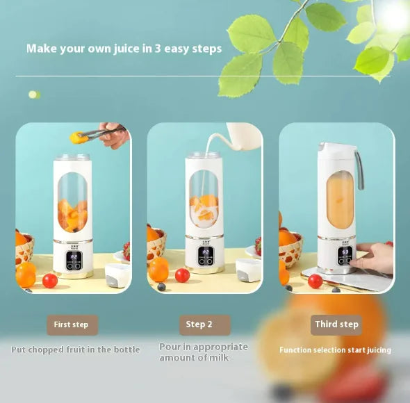 Portable Smoothie Blender / Bottle