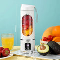 Portable Smoothie Blender / Bottle